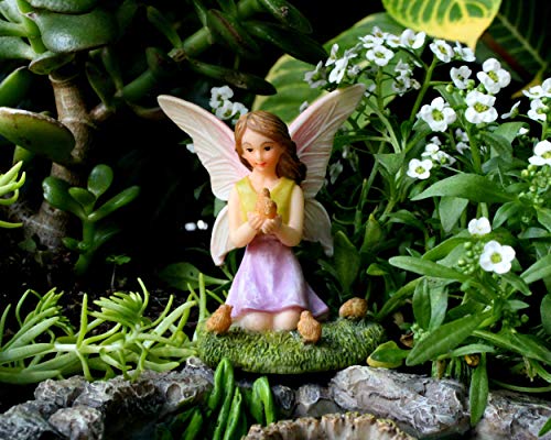 Pretmanns Fairy Garden Pond Accessories - Miniature Fairies Set – 3 Fairy Figurines & Sign With A Beautiful Large Crafted Lily Pond (8.3" X 6.1") - Fairy Garden Supplies 5 Pieces #TOP6