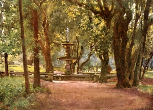 Imagen lienzo Viale Lecci Alberto Pisa pintura famosa para decoración de paredes 60x90