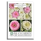 Blushing Bride Mix Zinnia Seeds (Zinnia elegans) – 200+ Heirloom Non-GMO Seeds by Isla’s Garden Seeds, Soft White & Pink Blooms, Elegant Cut Flowers, Long Blooming, Garden Gift Idea