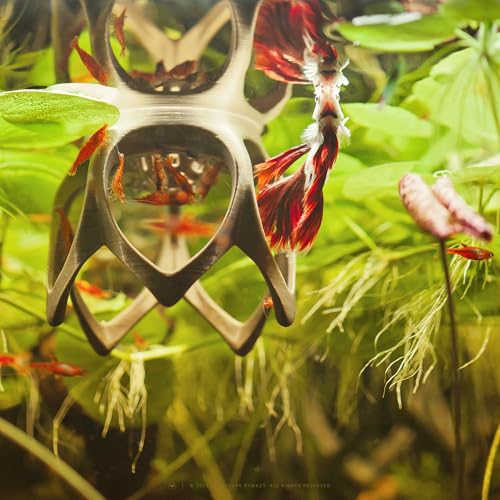 Image of Betta Play Ground | Floating Hammock and Hiding Cave for Betta, Fish, Shrimp with Feeding Station - Swim-Through Aquarium Ornament and Tank Decoration (Bronze, Mini)