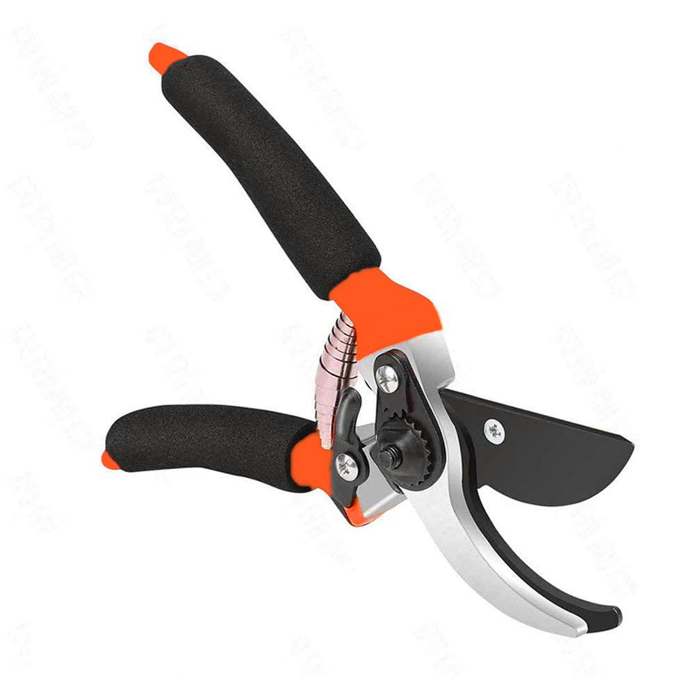 GARDEN SHEARS SHARP CUTTER PRUNERS SCISSOR, PRUNER (B0D3DHLJQ5) Amazon Price History, Amazon Price Tracker
