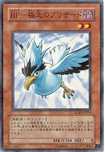 遊戯王　極北のブリザード　パラレル　未開封 Amazon.co.jp: 遊戯王 RGBT-JP010-NP 《BF- 極北のブリザード》 N