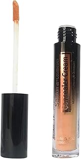 كونسيلرسائل مطفي تغطيه عاليه لون رقم22