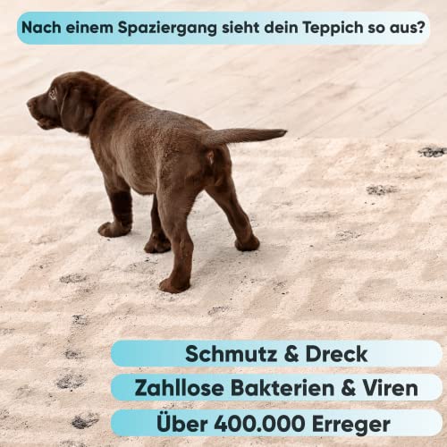 Pfotenreiniger Mem Pet 3in1 für Hunde Dreck entfernen leicht gemacht