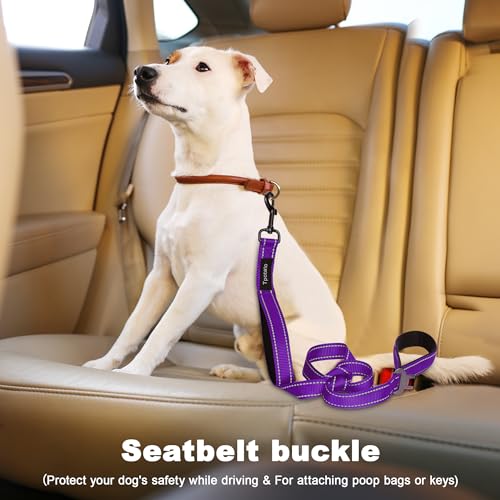 6 Foot Purple Dog Leashes for Large Medium and Small Breed Dogs That Pull,Reflective Nylon Heavy Duty Dog Leash with 2 Comfortable Padded Traffic Handles and Car Seat Belt for Walking and Training 6 Foot Purple Dog Leashes for Large Medium and Small Breed Dogs That Pull,Reflective Nylon Heavy Duty Dog Leash with 2 Comfortable Padded Traffic Handles and Car Seat Belt for Walking and Training