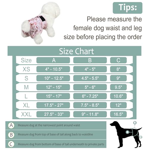 Image of Female Dog Diapers 5Pcs - Premium Reusable Diapers for Doggie in Heat - Highly Absorbent Dog Diapers Female for Pet Incontinence with Adjustable Snaps, Breenish Lily Flower, XXL