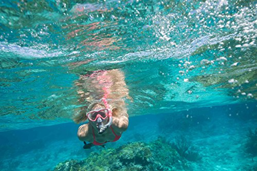 U.s. Divers Women's Silicone Diving Mask Dry Top Trek Travel Fins Gear Bag Diva Ii Snorkel Set, White, Medium #TOP7