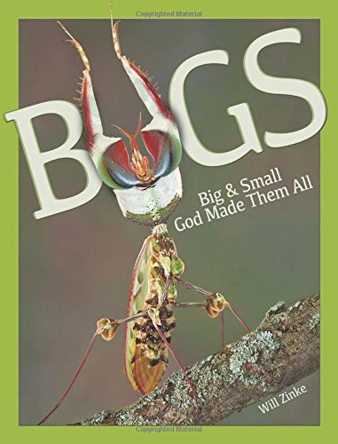 Bugs Big & Small God Made Them All