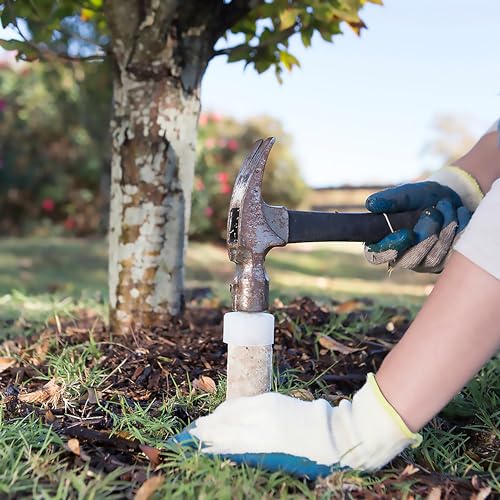 Jobe’s Slow Release Tree and Shrub Fertilizer Spikes, Easy Plant Care for Oak, Maple, Dogwood, Boxwood, and Many More Acid Loving Trees and Shrubs, Bulk 160 Count