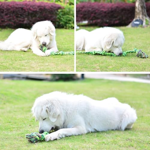 Image of SHARLOVY Dog Toys for Large Dogs and Aggressive Chewers | Indestructible XL Durable Dog Toy,5-Knot Rope Tug,Heavy Duty Chew Sturdy Cotton Knot Rope Toy for Large Breed Dogs