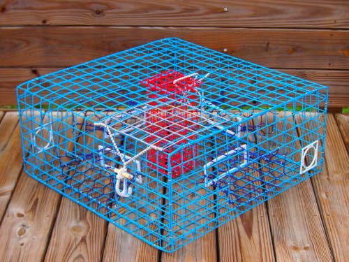 OceanBuilt Florida Large Blue Crab Trap 11 x 24 x 24 Recreational Blue Crab Pot Four-Throat Saltwater Crab Trap Heavy Duty PVC Coated Wire Fishing Trap