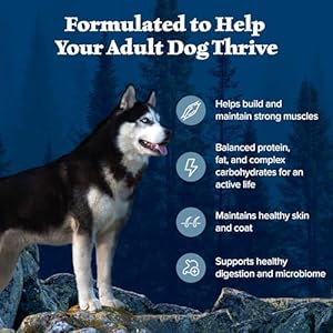 Blue Buffalo Wilderness Grownup Excessive-Protein Dry Canine Meals with Actual Hen, Grain-Free, Made within the USA with Pure Components, Hen, 24-lb. Bag