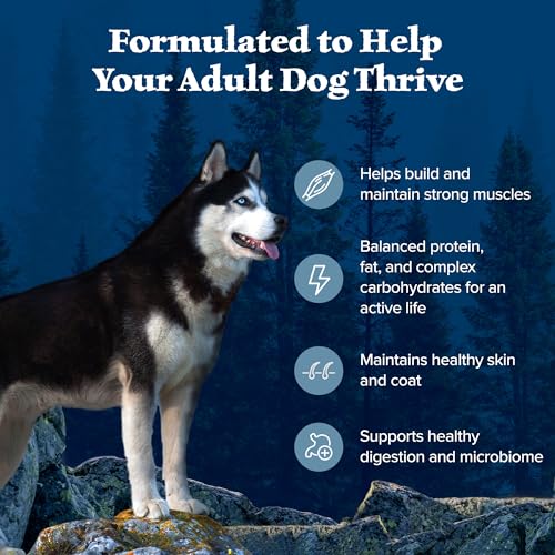 Blue Buffalo Wilderness Grownup Excessive-Protein Dry Canine Meals with Actual Hen, Grain-Free, Made within the USA with Pure Components, Hen, 24-lb. Bag Blue Buffalo Wilderness Grownup Excessive-Protein Dry Canine Meals with Actual Hen, Grain-Free, Made within the USA with Pure Components, Hen, 24-lb. Bag