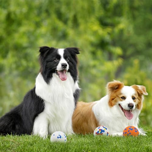 KUIRUNRX® Hundeball, Interaktives Wasserspielzeug, Dauerhaftes Hundespielzeug für Aggressive Kauer, Hunde Ball für Große, Mittelgroße, Kleine Hunde und Welpen