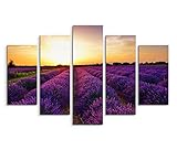 Zoom IMG-1 bestforhome gmbh fotografia paesaggistica campi Zoom IMG-1 bestforhome gmbh fotografia paesaggistica campi