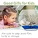 hygger Mini Glass Oblate Fish Bowl Kit, Small Fish Tank Comes with Blue Aquarium Decor Stones and Plastic Fan Branch Tree Ornament
