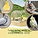 Bird Bath for Cage Clear, Automatic Indoor Cockatiel Bathtub Shower with Pump, Parrots Shower Accessories for Birdcage, Cleaning Supplies Shower Room for Parakeets, Finches, Canaries, Lovebirds