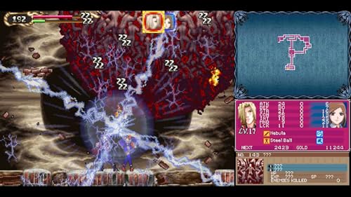 Castlevania: Order of Ecclesia