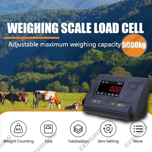 Báscula para Ganado con Capacidad de 5000kg miniatura 2