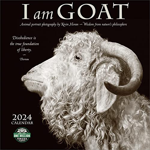 I Am Goat 2024 Wall Calendar: Animal Portrait Photography by Kevin Horan and Wisdom From Nature's Philosophers | 12" x 24" Open | Amber Lotus Publishing 51pbjIeQJqL. SL500 - I Am Goat 2024 Wall Calendar: Animal Portrait Photography by Kevin Horan and Wisdom From Nature's Philosophers | 12" x 24" Open | Amber Lotus Publishing