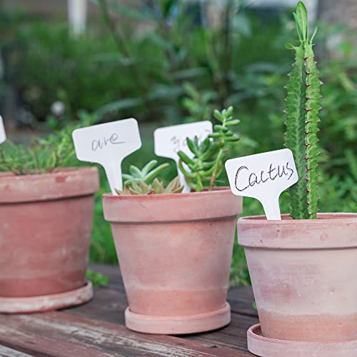 150Pcs Plant Labels, Garden Plant Markers, Plastic Plant Tags With Marker Pen, Waterproof Garden Signs For Outdoor Garden Plants Garden Potted Plants #TOP3