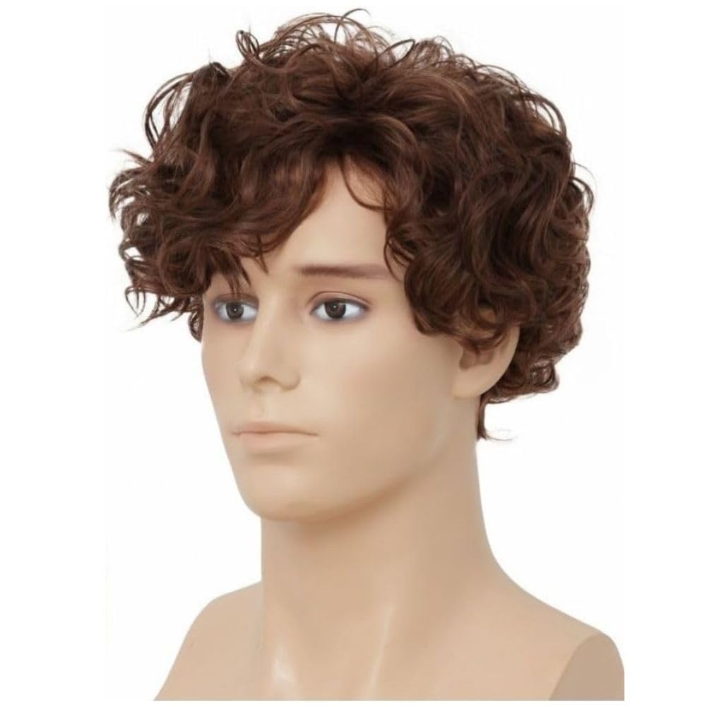 Braun Locken Kurze Perücke für Herren Synthetische Natürliche Fluffy Männliche Haar Cap Perücke Tägliche Party Gebrauch