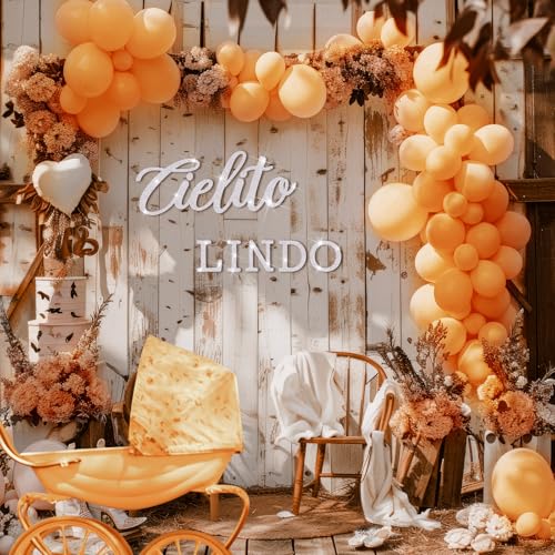 Image of VitalCozy Cielito Lindo Sign for Backdrop Felt Cielito Lindo Sign for Balloon Arch Baby Shower Birthday Party Mexican Talavera Wedding Party Decor for Backdrop Balloon Arch Decor(White,Glitter)