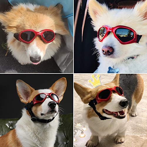 PEDOMUS Dog Goggles Small Dog Sunglasses Adjustable Strap for UV Sunglasses Waterproof Protection for Dogs (RED) - Image 8