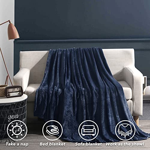 Lbro2M Flannel Fleece Bed Blanket, Queen Size Super Soft Warm Fuzzy Microfiber Velvet Plush Throw Lightweight Cozy Couch Blankets, All Season Use #TOP4