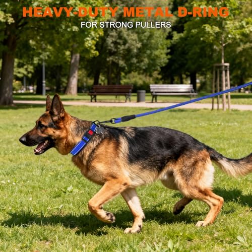 Image of Taglory Reflective Extra Large Dog Collar, Comfortable for Safe Night Walks