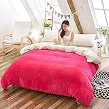 SAZDFY Engrosamiento Funda de edredón de vellón Coralino, Color sólido No se Puede permitir la Bola Funda nórdica-B 150x200cm (59x79inch)