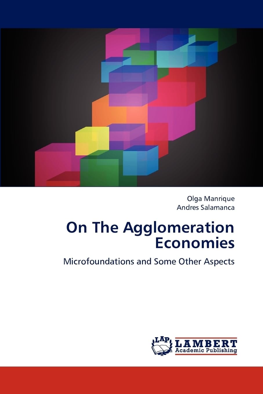 On The Agglomeration Economies: Microfoundations and Some Other Aspects