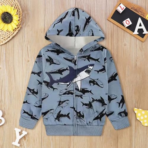 Boys Zip Up Hoodie Cute Cartoon Graphic Sweatshirts Long Sleeve Warm Pullover Tops Toddler Boys Hoodies Fall Coat2