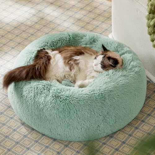Image of Bedsure Calming Cat Beds Donut Round Washable Kitten Bed,20 inches Apple Green