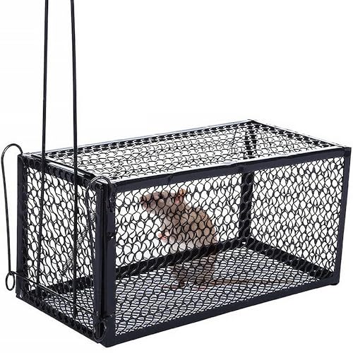 ECVV Humane Rat Trap Live Mouse Rat Trap Cage Thicken Steel Mice Traps for Small Rodent Animals for Indoor and Outdoor..28 * 14 * 14 cm Large