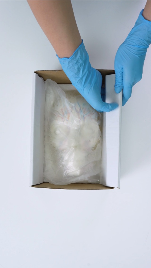 Image of Transparent Injection Face Model with Blood Vessels | Anatomical Injection Mannequin Face, Facial Injection Training Model for Estheticians, Medical Students, Detachble Face Skin