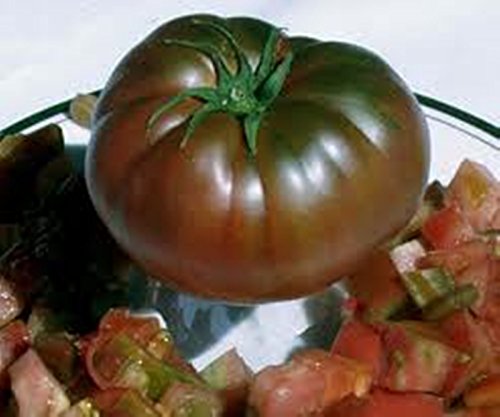 Seeds Beefsteak Tomato Black Prince Giant Vegetable For Planting Heirloom Non Gmo #TOP2
