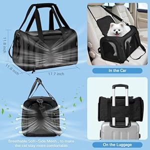 Trasportino da viaggio per gatti con kit per lettiera, trasportino per gatti con lati morbidi e pieghevoli, per gatti o gattini fino a 9 kg, 43 x 30 x 30 cm - immagine 2