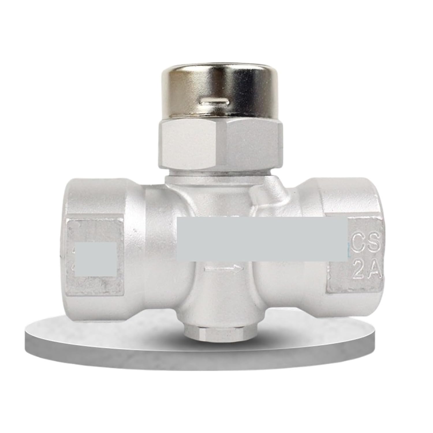 Stainless Steel Steam Trap TSD-42 DN15, DN20, DN25(DN15)