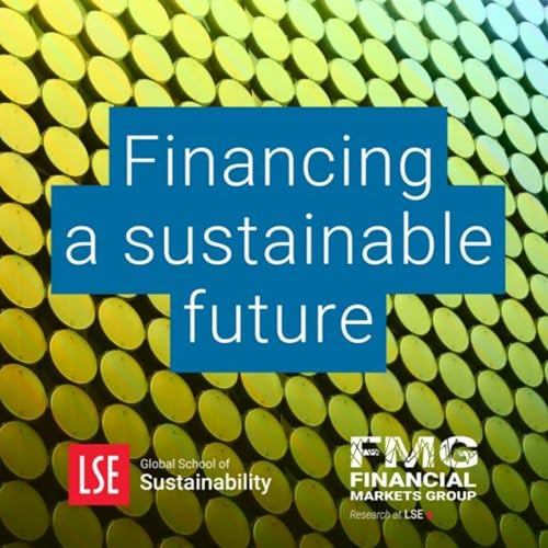 The role of bank capital requirements in addressing climate change