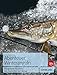 Produktbild Abenteuer Winterangeln: Erfolgreiche Fischwaid von November bis Februar