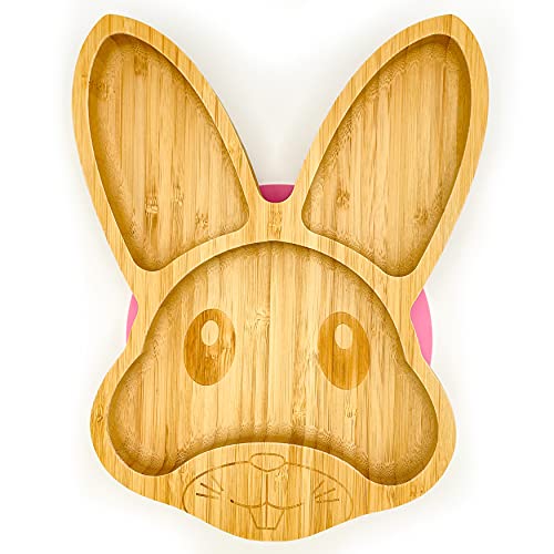 Eco Health Assiette en bambou pour bébé avec ventouse solide en silicone pour le sevrage et l'alimentation des tout-petits - Fabriquée à partir de bambou naturel bio (rose) Cover