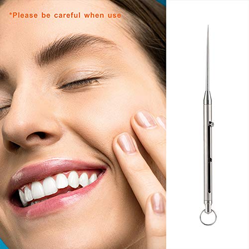 TISUR Titanium Bolt Integrated Toothpick and Holder Keychain Ultralight Travel Kits (Two slots/Gray)