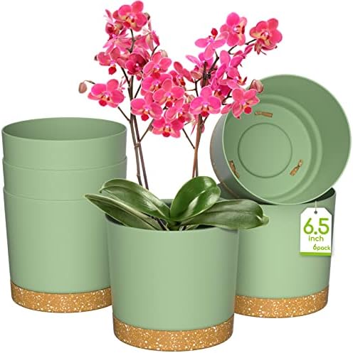 ZMTECH Flower Pot, 6 Indoor Plant Pots with Holes and Saucer, 16.5CM Plastic Planters Nursery Seeding Pot with Tray for Indoor Outdoor Bonsai Plants, Aloe Cactus Tomatoes Potatoes - Green