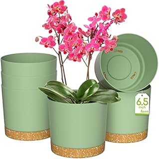 ZMTECH Flower Pot, 6 Indoor Plant Pots with Holes and Saucer, 16.5CM Plastic Planters Nursery Seeding Pot with Tray for Indoor Outdoor Bonsai Plants, Aloe Cactus Tomatoes Potatoes - Green