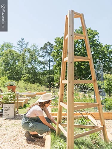 Gardeners-Supply-Company-Cedar-Wood-Obelisk-8-Feet-Tall-Outdoor-Garden-Structure-Trellis-Support-for-Climbing-Flowers-and-Vining-Vegetables Gardeners Supply Company Cedar Wood Obelisk 8 Feet Tall Outdoor Garden Structure Trellis Support for Climbing Flowers and Vining Vegetables