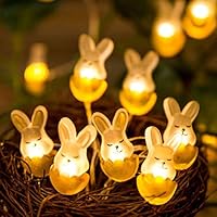 EONANT Marienkäfer Lichterkette - 30 LED Insekten Lichter Für Garten & Wohnung, Batteriebetrieb