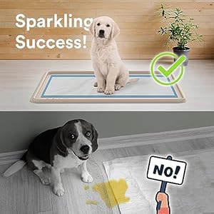 Pee Pad Tray Holder for Dogs - No Spill Raised Lip High Edge Silicone Mat, Extra Thick and Non-Slip for Indoor Floor Protection, Fits Up To 25 x 25 in. Square Potty Training Pads (Large, Beige) | eenk Pee Pad Tray Holder for Dogs No Spill Raised Lip High Edge Silicone Mat Extra Thick and Non Slip for Indoor Floor Protection Fits Up To 25 x 25 in Square Potty Training Pads Large Beige eenk