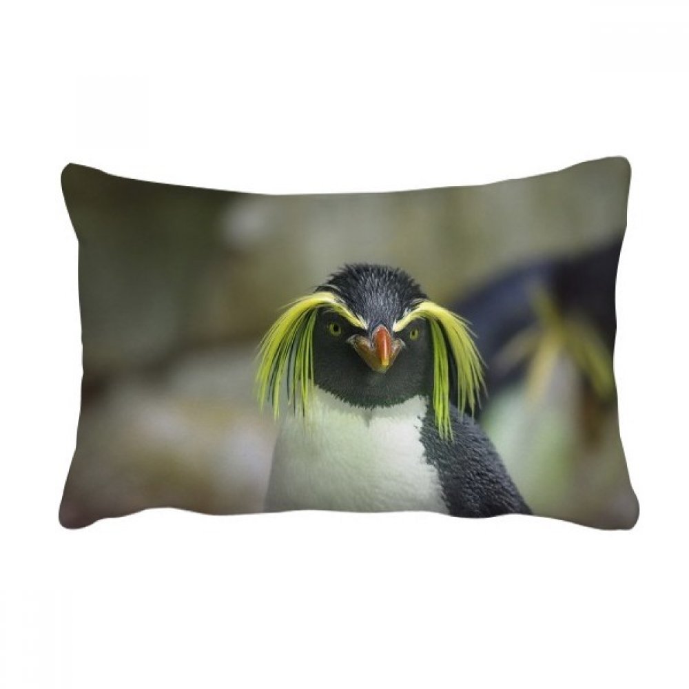 Coussin Antarctique Penguin haut de gamme aux détails de science nature mer