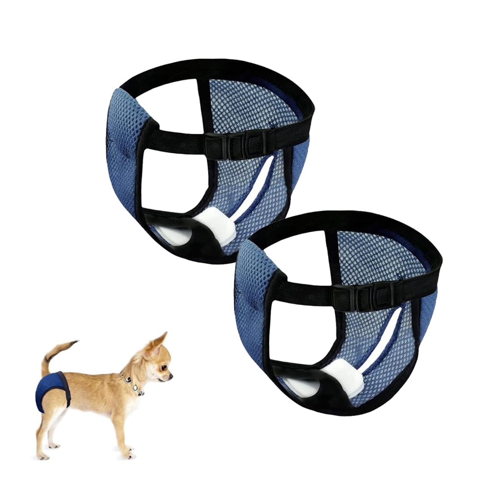 Ceihwa 2 Braguitas Perro Celo Hembra M Lavables Pantalones Pañales para Perros con 6 Toallas Sanitarias Reutilizable Bragas Menstruales Perro Hembra Bragas Higiénicas Perros en Celo Sangrado Mensual